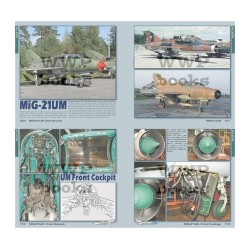 MiG-21MF/UM in detail