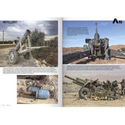 Syrian Armor at War Vol.1